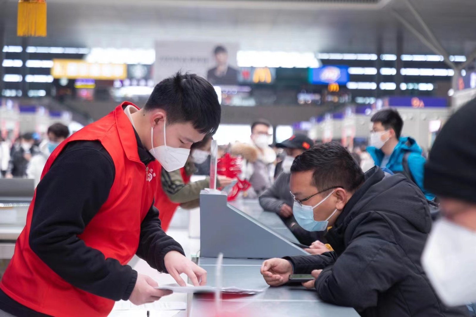 “绿护乡林：用专业守护古树与希望