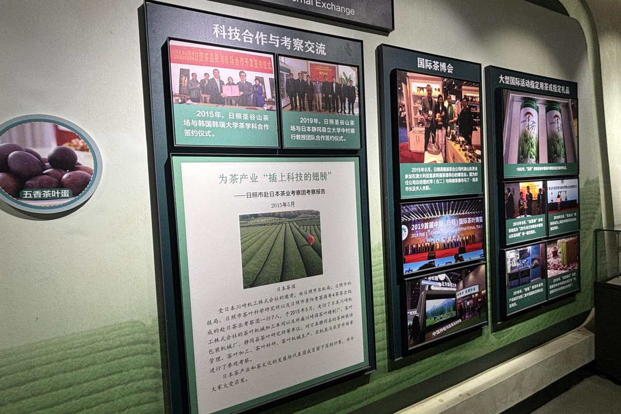 探寻“南茶北引”奋斗史:一片叶子如何富了一方百姓