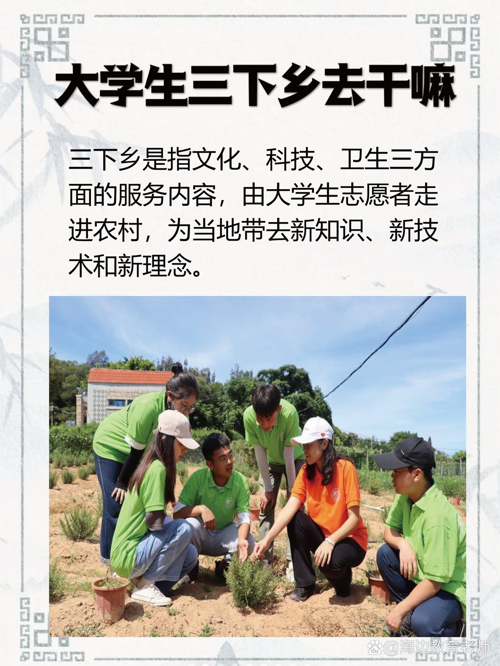 匠心助农践初心 青春逐梦振乡村——广东轻工职业技术学院2026年暑期三下乡社会实践纪实