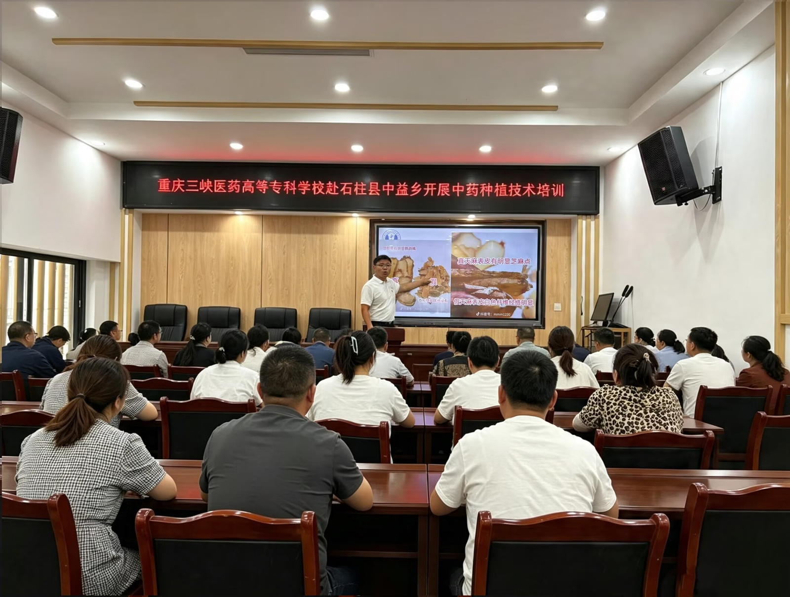药学院“小药箱青春服务队”赴石柱华溪村开展中药科技助农实践活动