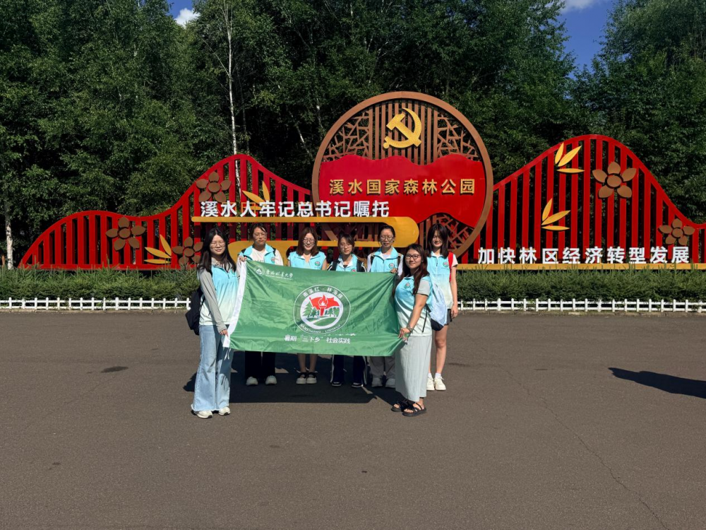 循迹林海蝶变,以青春之力焕新伊春春色——东林文法实践团开展伊春红绿融合发展实践调研活动