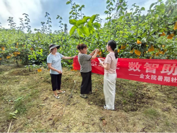 走进双谷村:青年学子以调研之眼,绘乡村振兴之景